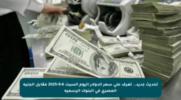 تحديث جديد.. تعرف على سعر الدولار اليوم السبت 6-9-2025 مقابل الجنيه المصري في البنوك الرسمية